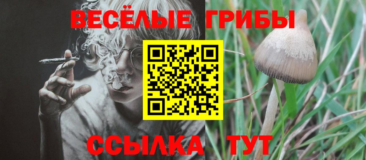Псилоцибиновые грибы GOLDEN TEACHER  Псилоцибиновые грибы ЛСД  Клинцы  Вход с VPN 